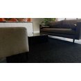 thumbnail image 1 of Trylawnturf Herbe Colorée - 6.6-FTX15-FT - Noir Fou, 1 of 5