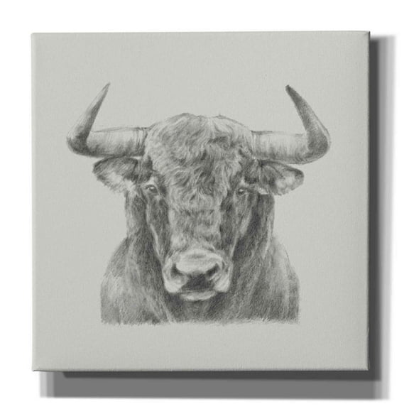 Epic Graffiti 'Black and White Bull' by Ethan Harper, Canvas Wall Art, 37"x37"