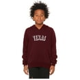 thumbnail image 2 of Daxton Youth Unisex Pullover Cities State Hoodie Mid-Weight Fleece Sweater - Texas Burgundy White, M, 2 of 3