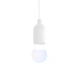 thumbnail image 4 of LJNYFDC Hanging Light LED Camping Tent Light Soft Flicker Free Eye Protection Compact Portable Decorative Retro Fixture, 4 of 7
