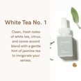 thumbnail image 5 of Pura - Home Fragrance Scent - White Tea No. 1, 5 of 6
