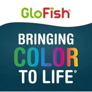 GloFish Crescent Aquarium Kit 3 Gallons, Includes Hidden Blue LED Light and Internal Filter