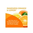 thumbnail image 2 of Bright Air Solid Air Freshener and Odor Eliminator, Mandarin Orange and Fresh Lemon Scent, 14 Ounces, 2 of 4