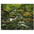 thumbnail image 1 of River Photo Ceramic Tile Mural Kitchen Backsplash Bathroom Shower, 405721-XL54, 1 of 9