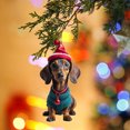 thumbnail image 3 of Adorno Decorativo Navidad DQrwqpou para Perro Regalos, 3 of 6