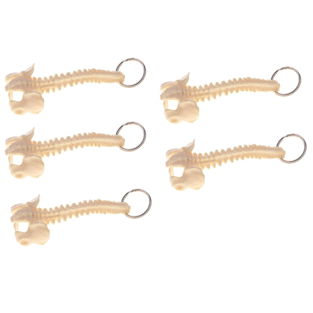 5 Uds Modelo de de Vertebral , Llavero, Herramientas Escolares de Aprendizaje, Sustros de Laboratorio Hugo Llavero de esqueleto de columna humana