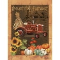 thumbnail image 2 of Phillips, Anita 19x24 White Modern Wood Framed Museum Art Print Titled - Bountiful Harvest VI, 2 of 4