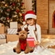 thumbnail image 1 of Adornos navideños, peluches, muñecos navideños, lindos alces, muñecos de nieve con bufanda, un gran regalo para niños, fiestas navideñas, intercambio o decoración festiva suave para el hogar en otoño, 1 of 6