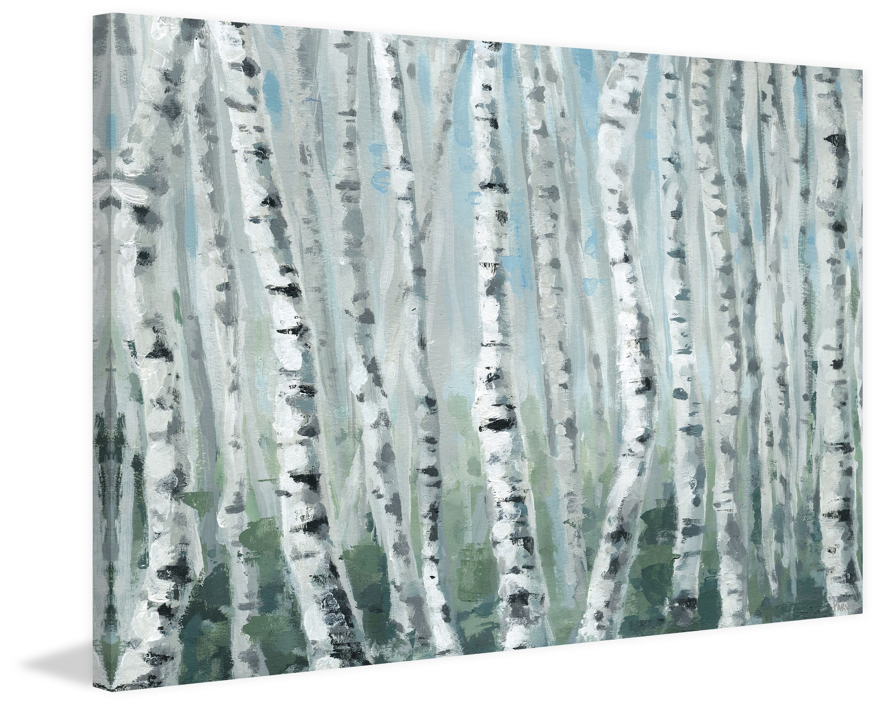 White Birch Bark "Tree Trunks" Tissue Paper for Gift Wrapping 20"x30" Sheets 