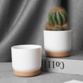 thumbnail image 1 of Flowerpot With Saucer Indoor Outdoor Drainage Holes Small Large Plant Pot, 1 of 9