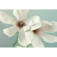 thumbnail image 3 of Frank, Assaf 14x11 Black Modern Framed Museum Art Print Titled - Magnolias, 3 of 5