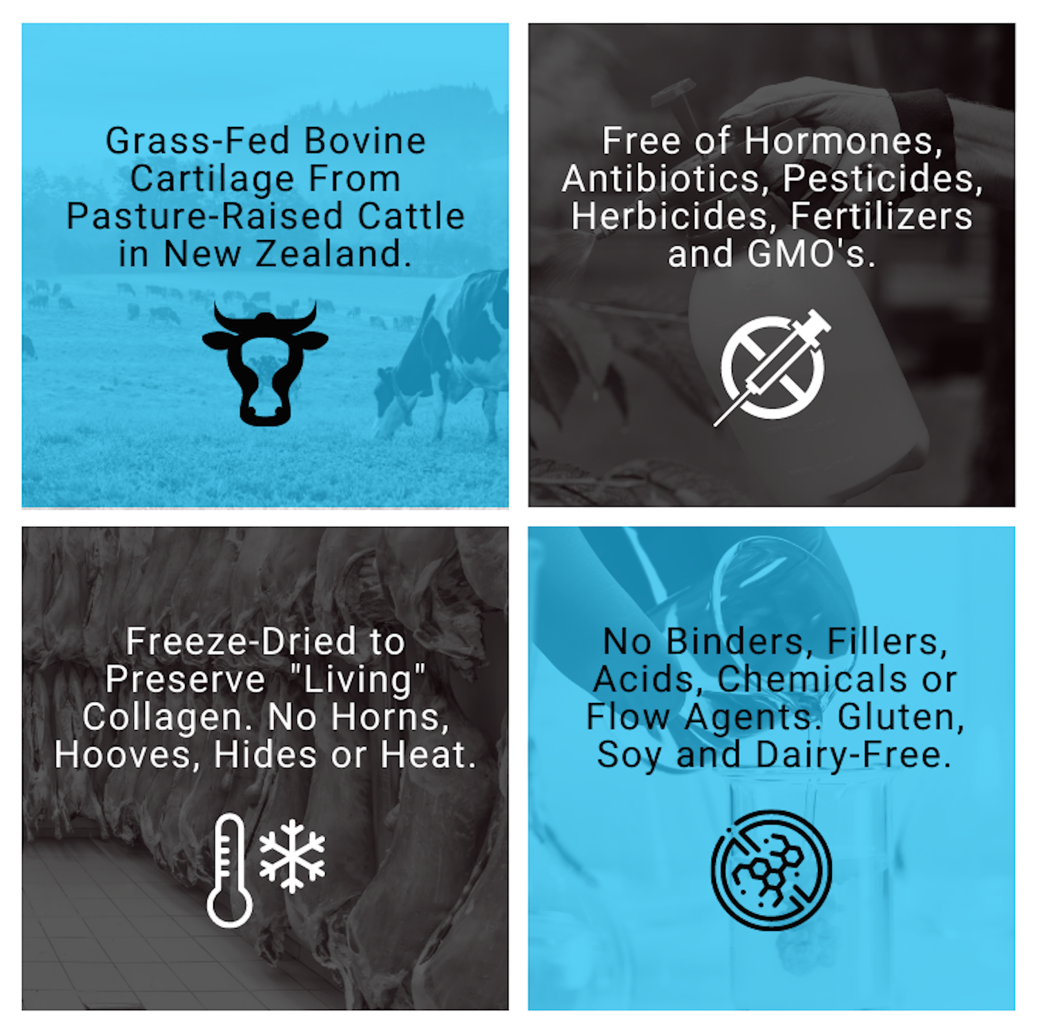 Grass Fed Beef Cartilage Supplement with Type II Collagen, Freeze-Dried Capsules, 90 Count