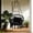Black, variant on Skandiquip 53"Macrame Hanging Swinging Hammock Chair, Premium Handwoven Macrame with Oversized Cushion, for Porch, Balcony & Bedroom