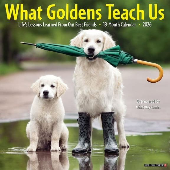 Willow Creek Press, What Goldens Teach Us 2026 Wall Calendar, 12'' X 12'', 18-Month Calendar with Spiral Binding