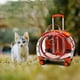 thumbnail image 3 of Mochila con ruedas para transportar mascotas, ideal para viajes, cachorros y gatos, con caja de burbujas. Naranja, 3 of 9