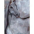 thumbnail image 3 of Parker, Jennifer Paxton 15x18 Black Modern Framed Museum Art Print Titled - White Horse Contour I, 3 of 5