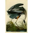 thumbnail image 2 of Audubon, John James 18x24 Gold Ornate Wood Framed with Double Matting Museum Art Print Titled - The Great Blue Heron, 2 of 4