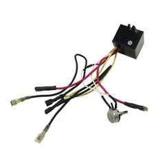 DL5000 Replacement 220V Variable Speed Control