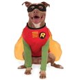 thumbnail image 1 of DC Comics Robin Big Dog Boutique, XXX-Large, 1 of 1
