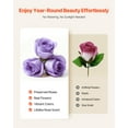 thumbnail image 4 of VEVOR Forever Flowers, 50 Preserved Roses in a Box, Eternal Flowers Immortal Bouquet Birthday Present for Women Her Wife Mothers, Anniversary, Valentine's Day,Christmas, Lavender Purple, 4 of 9