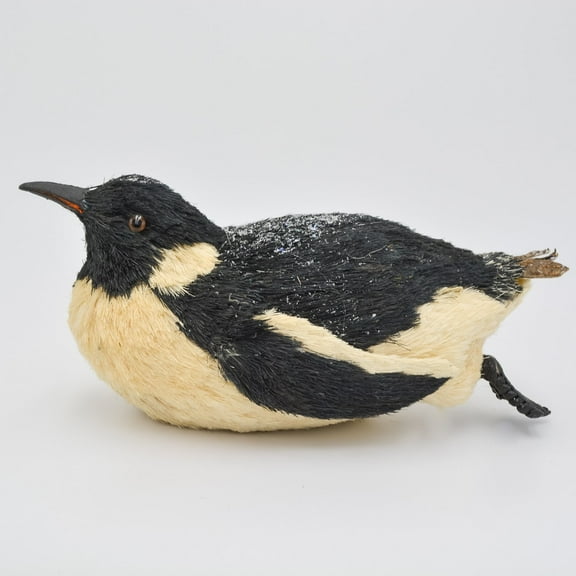 15" Sliding Black and White Penguin