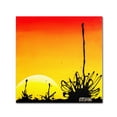 thumbnail image 2 of Trademark Fine Art "Century Sunset" Canvas Art by Roderick Stevens, 2 of 3