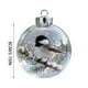 thumbnail image 3 of Herunwer Winter Birds Christmas Glass Bauble Collection, Nature’s Birds Crystal Glass Ornament, Cute Hummingbird Christmas Tree Ornaments, 3 of 6
