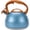 Blue, variant on Uscover Stovetop Whistling Tea Kettle Loud Whistling Heavy Stainless Steel Black 3.16 Quart