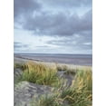 thumbnail image 2 of Frank, Assaf 12x14 White Modern Wood Framed Museum Art Print Titled - Sand dunes and grass, West wittering beach, UK, 2 of 4