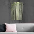 thumbnail image 6 of Luxe Metal Art 'Backlit Bamboo II' by Lori Deiter, Metal Wall Art, 24"x36", 6 of 9