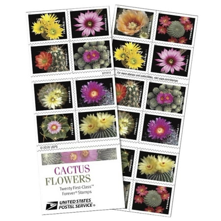 Spaniel Postage Stamp Cactus Flower Book of 20 USPS Forever First Class Postage Stamps Love Celebrate Wedding Beauty (20 Stamps) ()