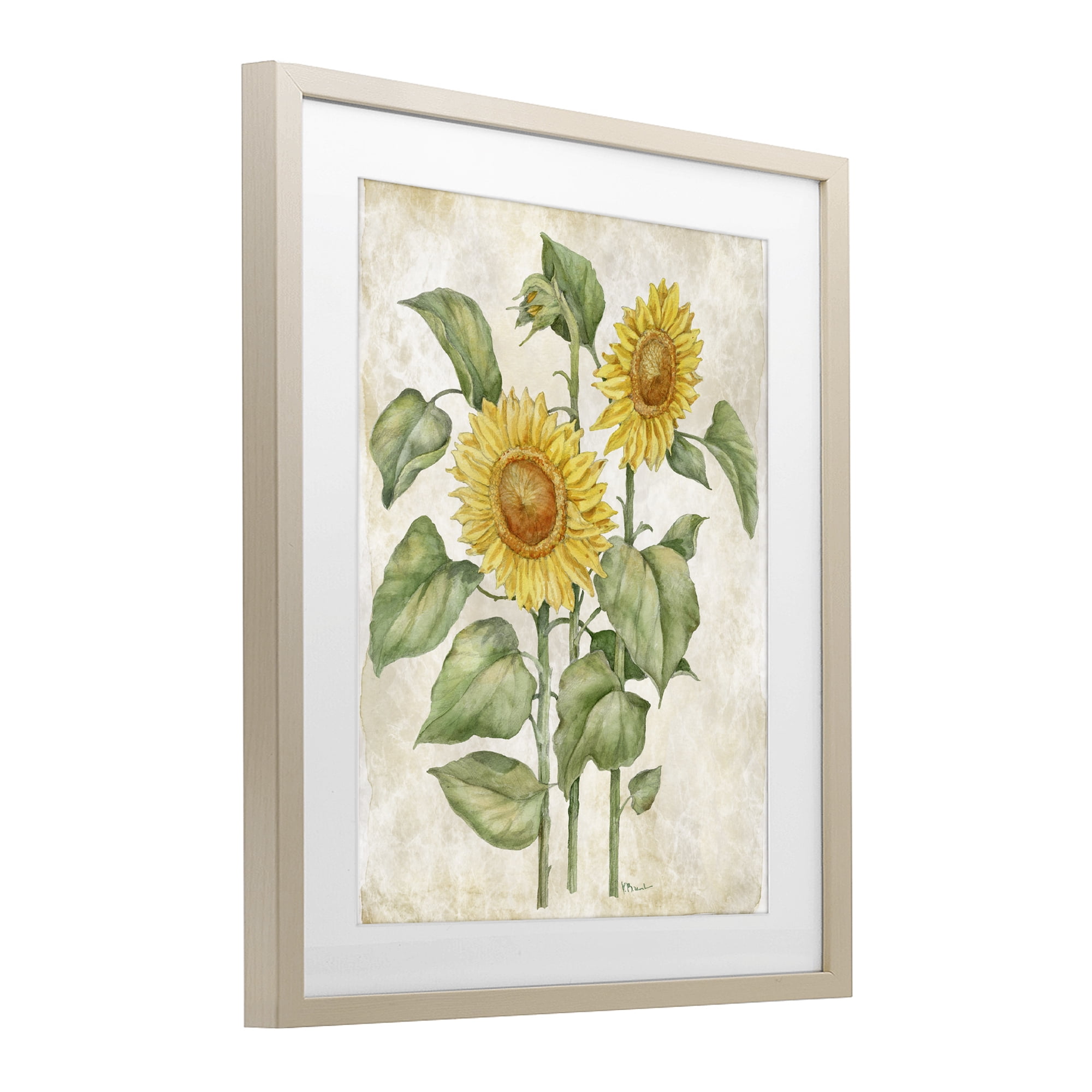 Stupell Industries Floral Journal Vintage Sunflower Birch Framed Print Under Glass, design by Paul Brent