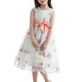 thumbnail image 3 of Little Girls Summer Embroidered Mesh Princess Pageant Dress Q573 Size 5-12, 3 of 7