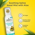 thumbnail image 6 of Zarbee’s Soothing Saline Nasal Mist with Aloe for All Ages, 3 fl. oz, 6 of 14