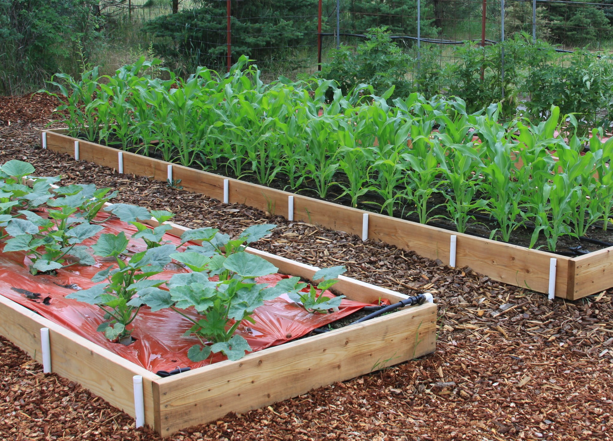DripWorks Garden Bed Drip Irrigation Kit