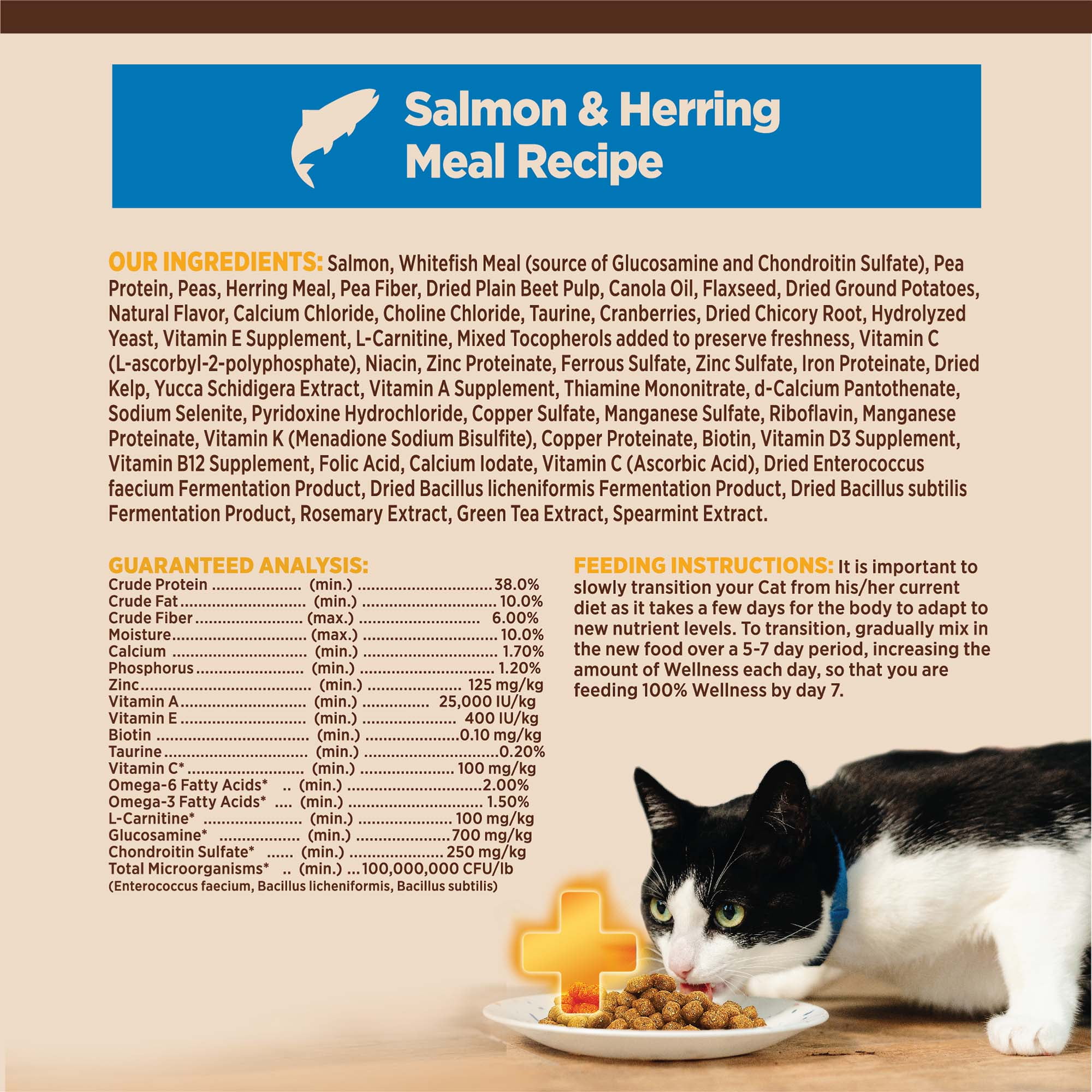 Wellness CORE+ Adult Dry Cat Food for Indoor Cats, Natural, Grain Free Kibble, Salmon and Herring Meal Recipe, 11 lb Bag