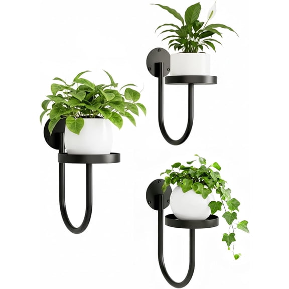 Wall Plant Holder – Hanging Planters for Indoor, Window Planter Shelves & Hanger, Indoor Wall Planters, Modern Plant Decor, Black (3 Pack)