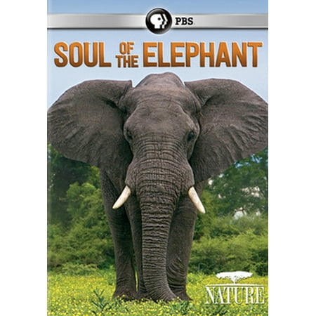 Nature: Soul of the Elephant (DVD)