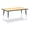 Maple/Black, variant on Rectangle Activity Table - 30" X 48", E-height - Maple/Maple/Camel