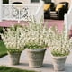 thumbnail image 5 of Simulation Morning Glorys Plastic Flowers Simulation Flower Bouquet Outdoor Holiday Decoration Home Garden Artificial Flower, 5 of 6