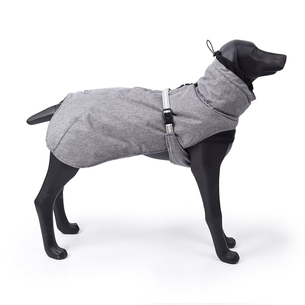 great dane winter jacket