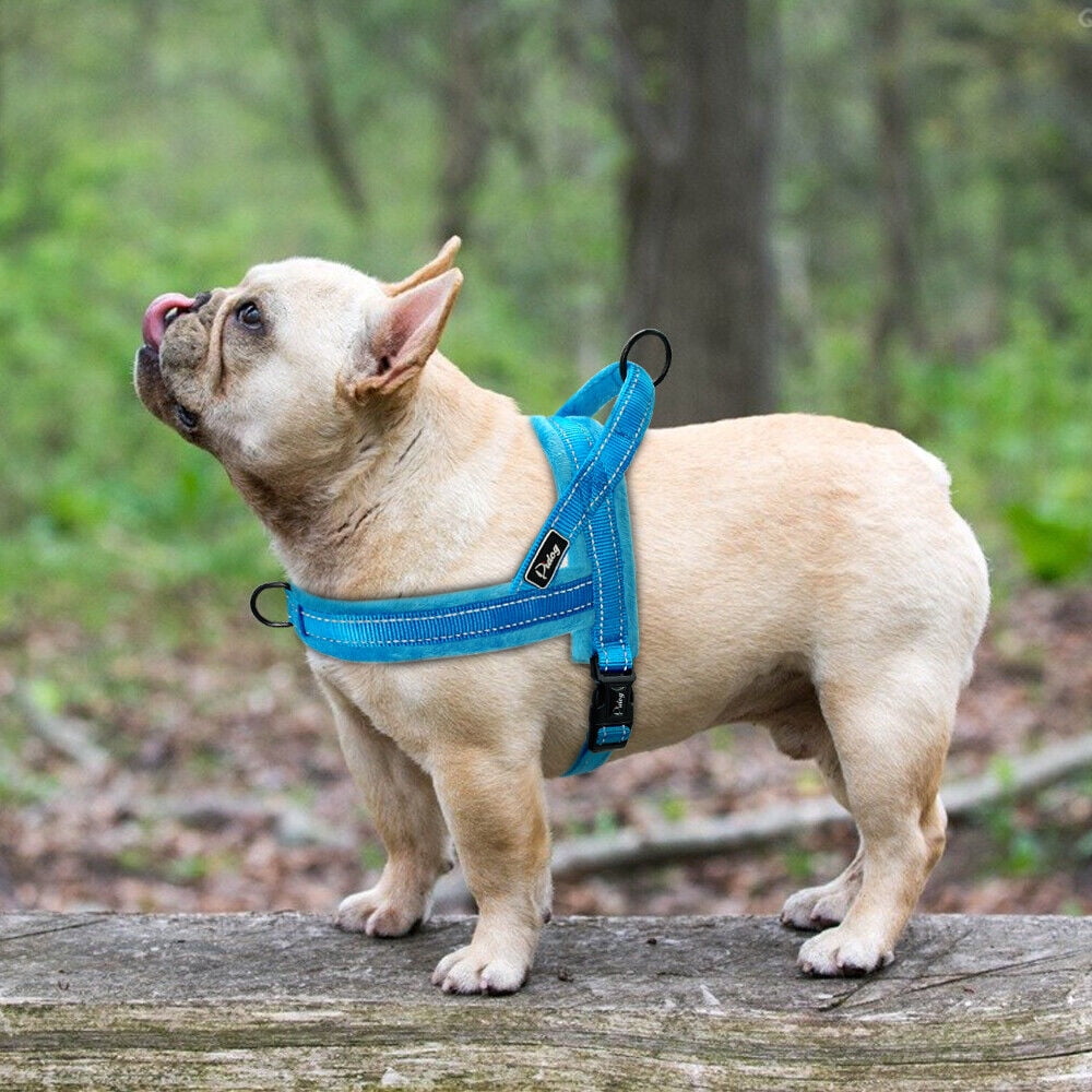 Beirui No Pull Nylon Dog Harness Reflective Soft Comfortable Walking Strap Vest for Small Medium Large Dogs Adjustable