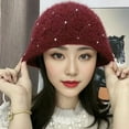 thumbnail image 2 of SikaFu The New Thickened Pine Pile -Keeping Pile Hats Version Versatile Winter Large Head Enclosure Ear And Knitted Woolen Hat Girl, 2 of 9