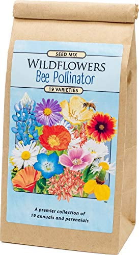 Bee & Butterfly Wildflower Seed Mix - Over 30,000 Premium Seeds - by ...
