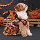 thumbnail image 5 of Juguetes para mascotas Productos para mascotas Falda de encaje de calabaza Productos para mascotas Falda doble de fiesta Suministros para mascotas, 5 of 8