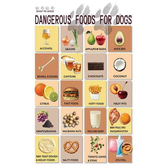 Dangerous Foods for Dogs: Avoid These Foods Poster