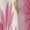 style, variant on Floral Colorful Flower Sleeveless Dress Female Clothing Dress Women Summer 2025 Dress