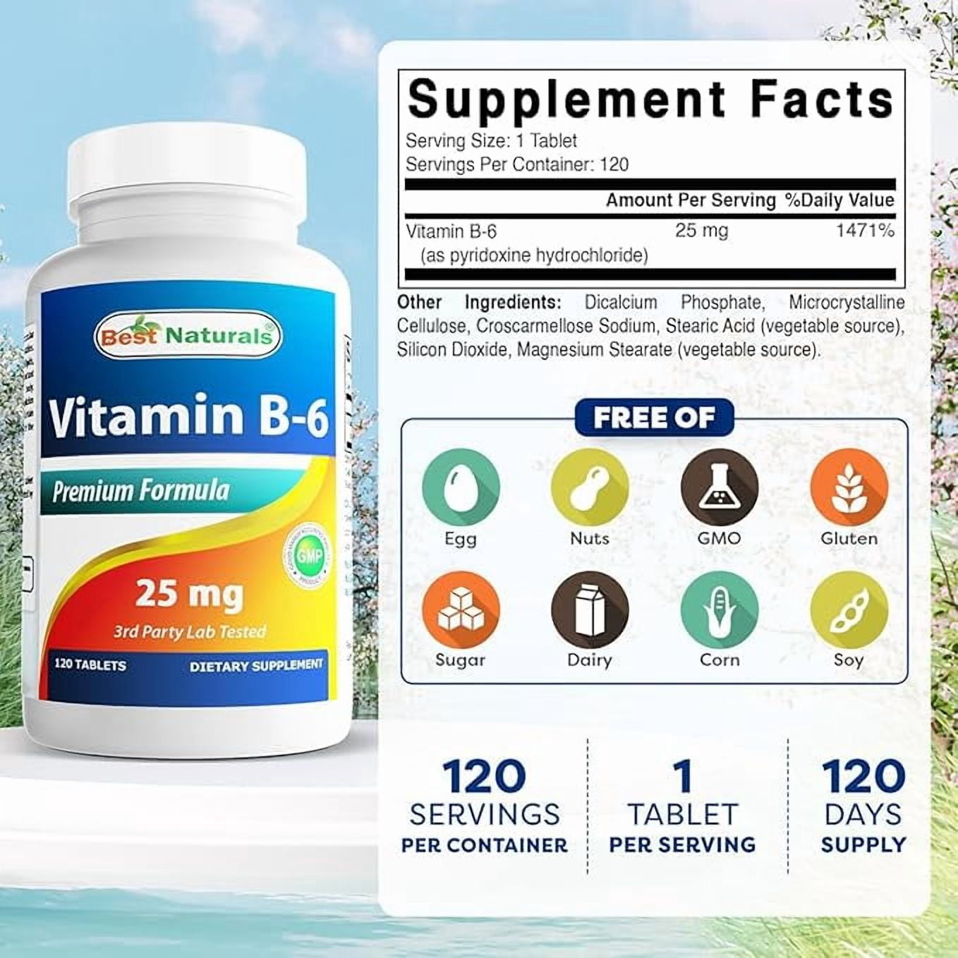 Best Naturals No Lactose, Vitamin B6, 25mg, 120 Tablet Count
