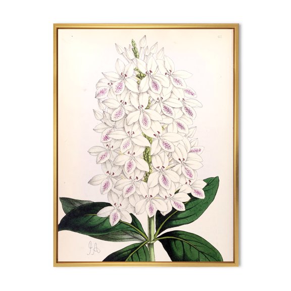 Designart 'Ancient White Orchid III' Traditional Framed Canvas Wall Art Print