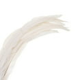 thumbnail image 5 of Uxcell 16-18 Inch Rooster Feathers, 10 Pack Bulk Natural Feathers for Crafts Style 1, White, 5 of 6